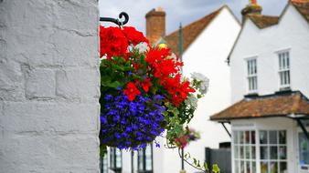 Flowers Decoration house