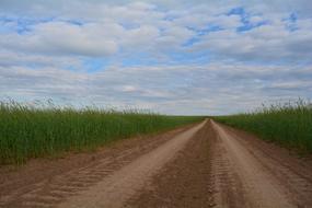 delightful Way Road Landscape
