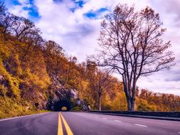 Shenandoah Valley Virginia Fall road