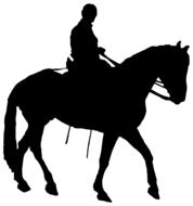 animal horse male drawing