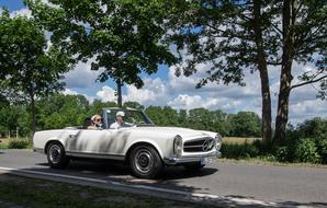 Tree Road and white Transport