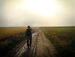 Guy Walking road