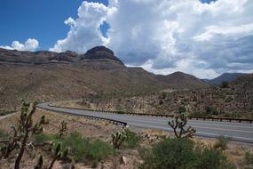 Beautiful landscape with the road among the desert with plants
