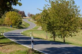 Away Road trees