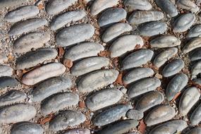extraordinarily beautiful Paving Stones