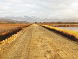 Road Landscape gold grass