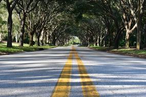 perfect Pavement Asphalt