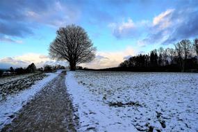 winter photo of a rural field in Zurich