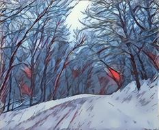 road snow forest