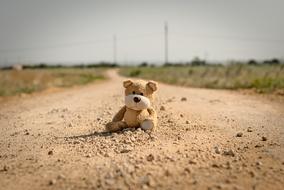 Toy Teddy Bear sand