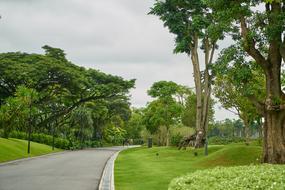 smooth asphalt paths in a green park