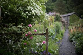 landscape of delightful Residence and flowers