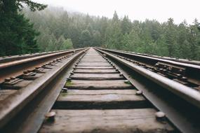 railway rails through the forest close up