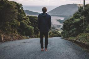 Road Path Trees person