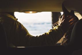 Man in Car