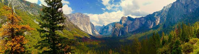 Beautiful panorama of the mountains and colorful plants in Yosemite National Park in California, USA