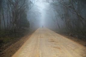 man is walking on a foggy road