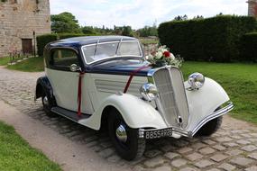 Car Old retro flowers
