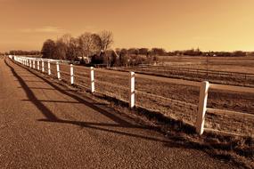 Fence Road Field