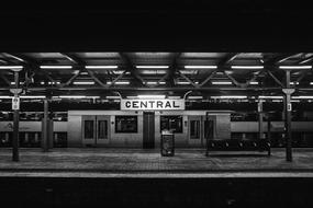 central Railroad Train