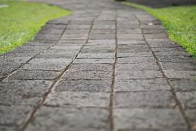 Path Way Road green grass