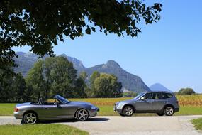 cars on the road near the forest