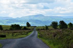 Nature Sky road forest