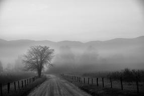 rural road in dense fog in black and white background