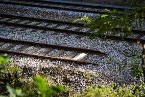 Rails Train green grass