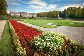 delightful Flower Garden Rush