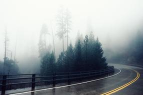 mystical photo of foggy road turning