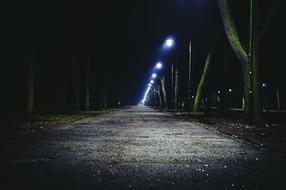 shining lanterns over alley in park at night