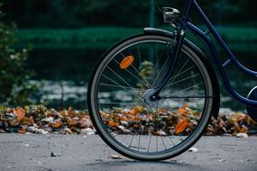 bicycle wheel in the park on a blurred background