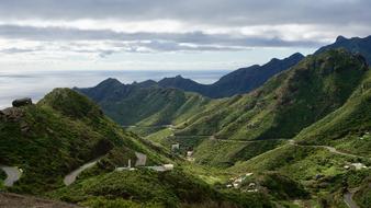Canary Islands green