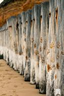 Breakwater Poles wood, australia