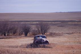 Landscape of old Car on meadow