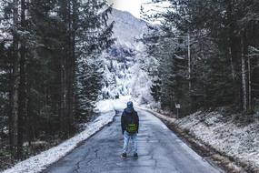 Forest Mountain road