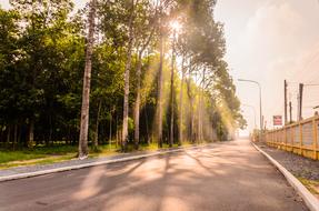 Road Light
