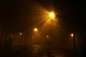 Night Road Lantern tree