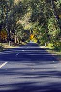 photo of an autumn road