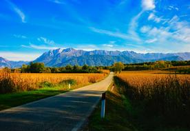 Scenic road, fields