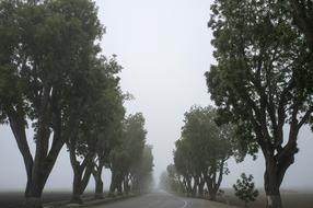 empty road on foggy morning in countryside