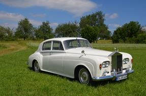 white classic car on green grass on a sunny day