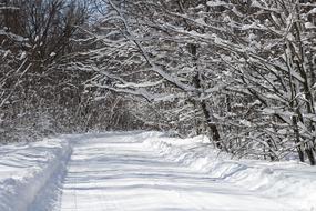 extraordinarily beautiful Winter Snow road