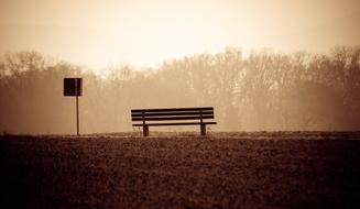 monochrome photo of a bench against a foggy alley of trees