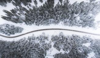 Snow Winter White road and forest