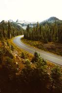 Road Mountains forest