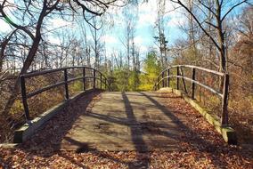 Footbridge Autumn forest