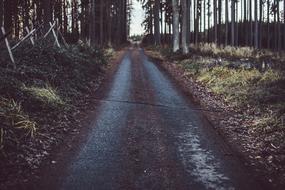 evening photo of a wet rural road