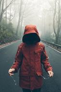 photo of Man on road in forest